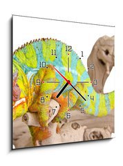 Obraz s hodinami 1D - 50 x 50 cm F_F41961135 - Colorful chameleon. - Barevn chameleon.