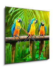 Obraz s hodinami 1D - 50 x 50 cm F_F42532067 - Blue-and-Yellow Macaw