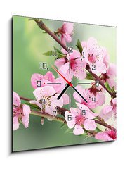 Obraz s hodinami 1D - 50 x 50 cm F_F42824087 - beautiful pink peach blossom on green background