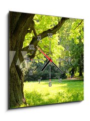 Obraz s hodinami 1D - 50 x 50 cm F_F42887585 - Mighty oak tree - Mocný dub