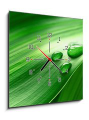 Obraz s hodinami 1D - 50 x 50 cm F_F43098677 - Plantleaf