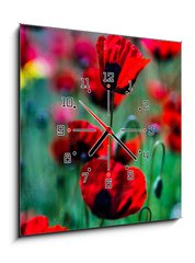 Obraz s hodinami 1D - 50 x 50 cm F_F431365437 - Red poppy flowers ina meadow - Červené květy máku na louce