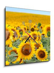 Obraz s hodinami 1D - 50 x 50 cm F_F43246841 - Beautiful sunflower field