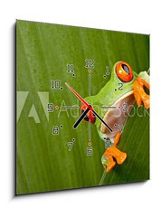 Obraz s hodinami 1D - 50 x 50 cm F_F43998822 - red eyed tree frog peeping - erven oi strom ba peeping