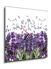 Obraz s hodinami 1D - 50 x 50 cm F_F44305903 - fresh lavender flowers on white