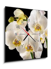 Obraz s hodinami   White orchids on the black background, 50 x 50 cm