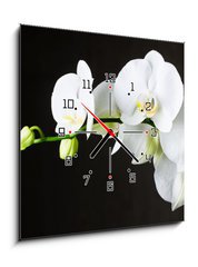 Obraz s hodinami 1D - 50 x 50 cm F_F44550802 - Close-up of white orchids (phalaenopsis) against dark background