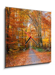 Obraz s hodinami 1D - 50 x 50 cm F_F44662629 - Pathway in the autumn forest