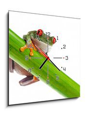 Obraz s hodinami 1D - 50 x 50 cm F_F45097873 - Green Frog with red eye. - Zelen ba s ervenm okem.