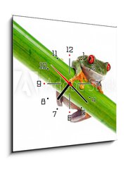 Obraz s hodinami 1D - 50 x 50 cm F_F45099482 - Green Frog with red eye. - Zelen ba s ervenm okem.