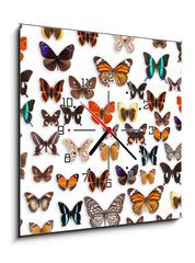 Obraz s hodinami 1D - 50 x 50 cm F_F46470295 - butterflies