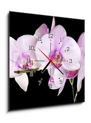 Obraz s hodinami 1D - 50 x 50 cm F_F48136683 - light pink orchid flowers branch on black