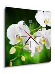 Obraz s hodinami 1D - 50 x 50 cm F_F48780289 - orchid