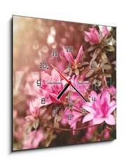 Obraz s hodinami 1D - 50 x 50 cm F_F49992650 - Spring Azaleas in Soft Sunlight