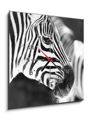 Obraz s hodinami   monochrome photo  detail head zebra in ZOO, 50 x 50 cm
