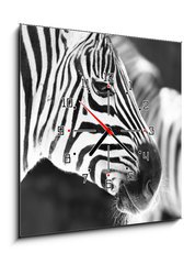 Obraz s hodinami 1D - 50 x 50 cm F_F50298303 - monochrome photo - detail head zebra in ZOO - monochromatické fotografie