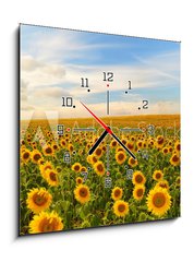 Obraz s hodinami 1D - 50 x 50 cm F_F50744660 - sunflowers