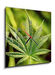 Obraz s hodinami   marijuana, 50 x 50 cm