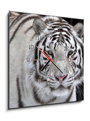 Obraz s hodinami 1D - 50 x 50 cm F_F51332281 - Glance of a passing by white bengal tiger