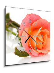 Obraz s hodinami   rose with drops isolated on white, 50 x 50 cm