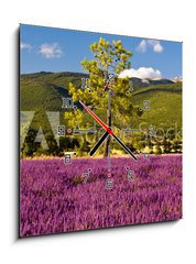 Obraz s hodinami 1D - 50 x 50 cm F_F51603534 - Campi di Lavanda a Valensole Provenza, Francia