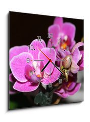 Obraz s hodinami 1D - 50 x 50 cm F_F5243512 - orchid