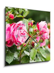 Obraz s hodinami 1D - 50 x 50 cm F_F53076868 - Rosa Rose