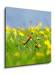 Obraz s hodinami   Yellow dandelions, 50 x 50 cm
