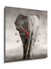 Obraz s hodinami 1D - 50 x 50 cm F_F53182375 - Elephant