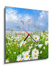 Obraz s hodinami   many chamomile flowers over blue sky, 50 x 50 cm