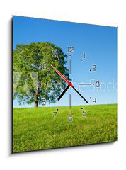 Obraz s hodinami 1D - 50 x 50 cm F_F54481754 - Green tree and blue sky