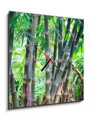 Obraz s hodinami 1D - 50 x 50 cm F_F54731714 - Bamboo forest - Bambusový les