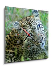 Obraz s hodinami 1D - 50 x 50 cm F_F5752327 - Leopard