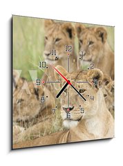 Obraz s hodinami   Pride of Lions, Serengeti, Tanzania, 50 x 50 cm