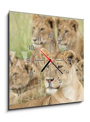 Obraz s hodinami 1D - 50 x 50 cm F_F57547557 - Pride of Lions, Serengeti, Tanzania