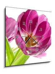 Obraz s hodinami   lilac tulips isolated on white, 50 x 50 cm