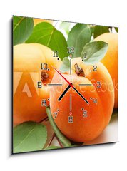 Obraz s hodinami 1D - 50 x 50 cm F_F59284348 - Fresh apricots
