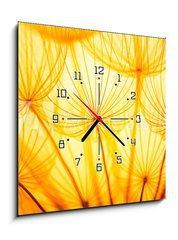 Obraz s hodinami   Dandelion, 50 x 50 cm