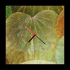 Obraz s hodinami 1D - 50 x 50 cm F_F5989441 - background from natural leafs
