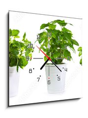 Obraz s hodinami 1D - 50 x 50 cm F_F59972855 - set of potted green plants