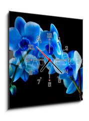 Obraz s hodinami 1D - 50 x 50 cm F_F60337173 - Blue sapphire orchid - Modrý safírový orchidej