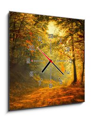 Obraz s hodinami 1D - 50 x 50 cm F_F60738927 - Autumn in the forest