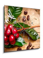 Obraz s hodinami 1D - 50 x 50 cm F_F62633305 - Coffee Plant. Red coffee beans on a branch of coffee tree - Kávovar. Červená kávová zrna na větvi kávy