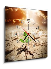 Obraz s hodinami   plant in arid land  climate warming and drought concept, 50 x 50 cm