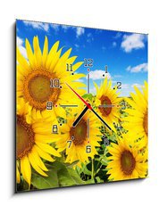 Obraz s hodinami 1D - 50 x 50 cm F_F62796944 - sunflower field and blue sky with clouds