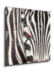 Obraz s hodinami 1D - 50 x 50 cm F_F64489568 - Close-up of zebra head and body with beautiful striped pattern