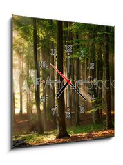 Obraz s hodinami 1D - 50 x 50 cm F_F64670682 - autumn forest trees. nature green wood sunlight backgrounds. - podzimní lesní stromy. příroda zelené dřevo sluneční světlo pozadí.