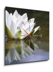 Obraz s hodinami   white delicate water lily, 50 x 50 cm