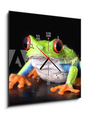 Obraz s hodinami 1D - 50 x 50 cm F_F6752978 - frog closeup on black