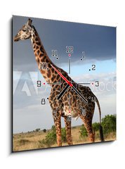 Obraz s hodinami 1D - 50 x 50 cm F_F68090658 - Girafe mle qui parade